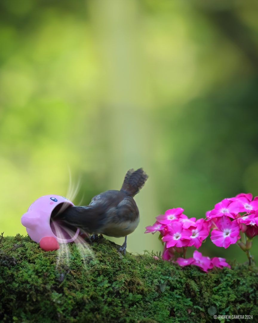 miniatures animals birds