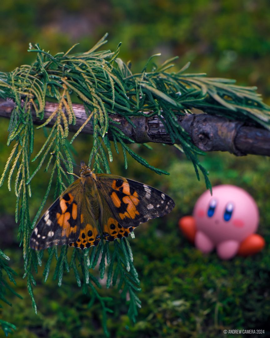 miniatures animals birds