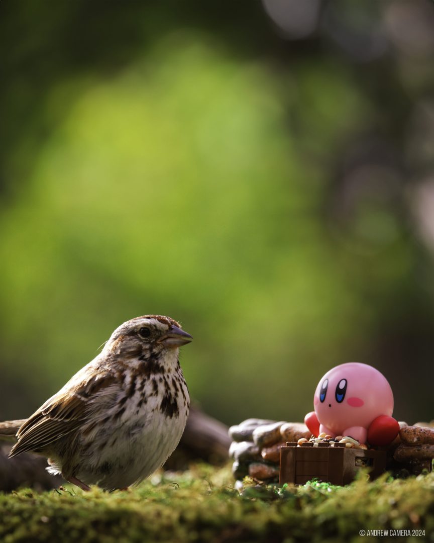 miniatures animals birds