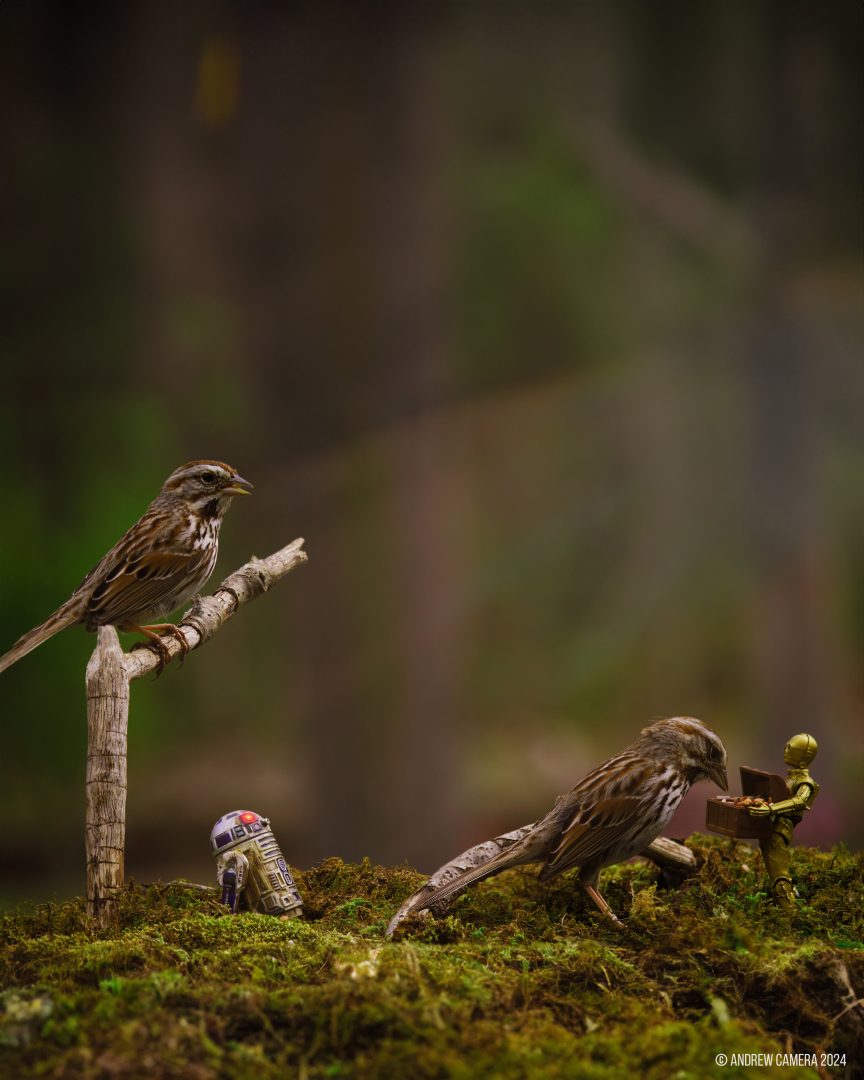 miniatures animals birds