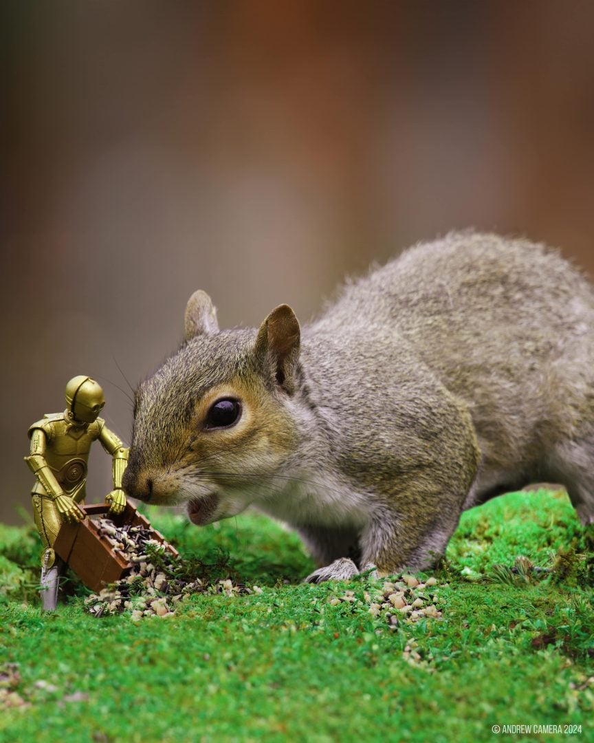 miniatures animals birds