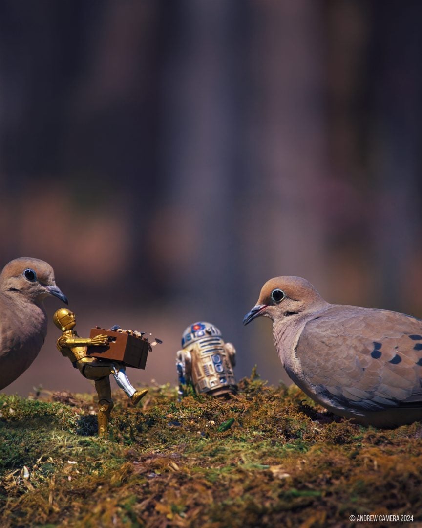 miniatures animals birds