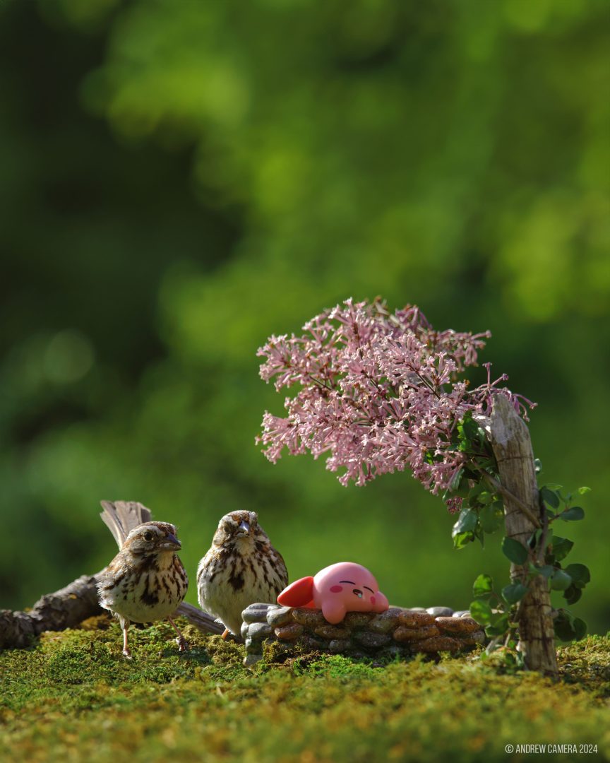 miniatures animals birds