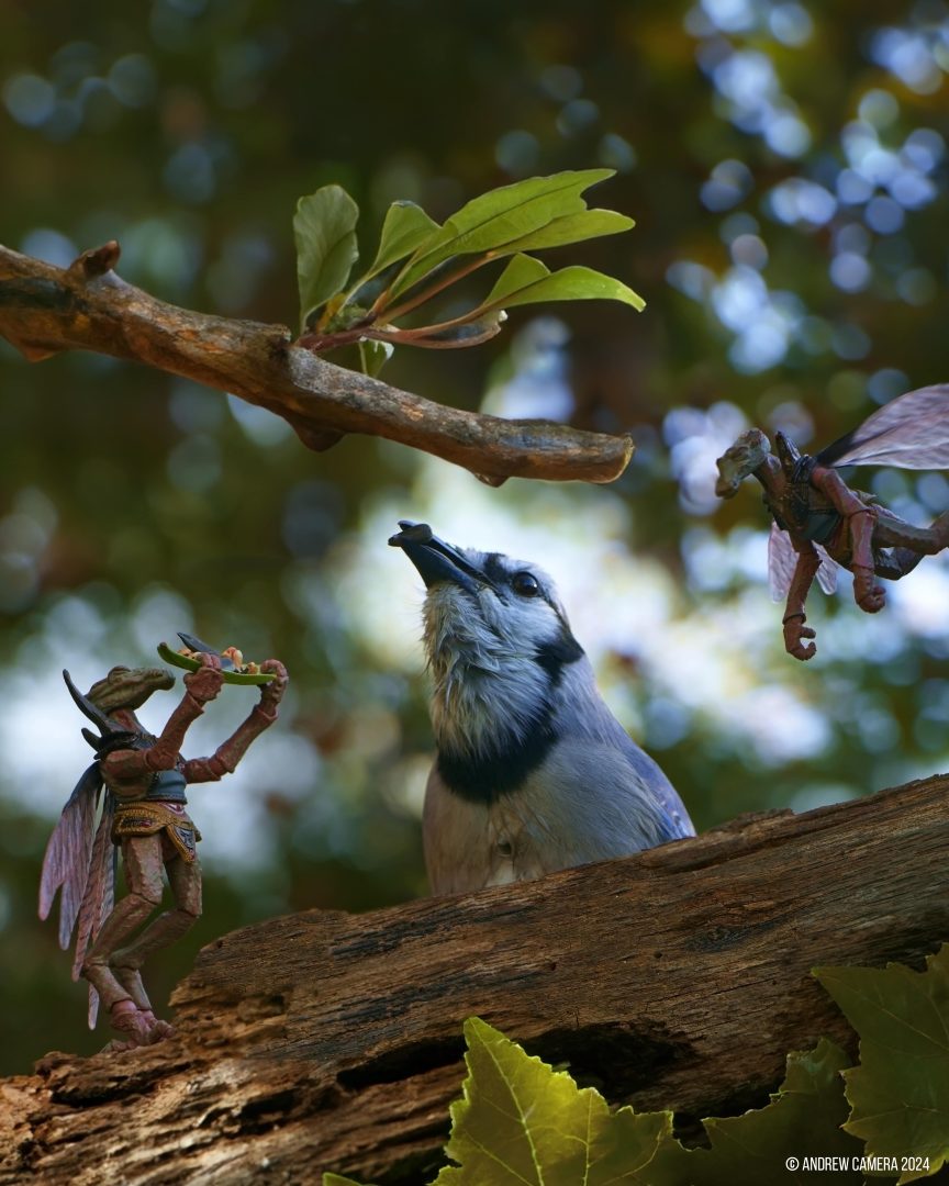 miniatures animals birds
