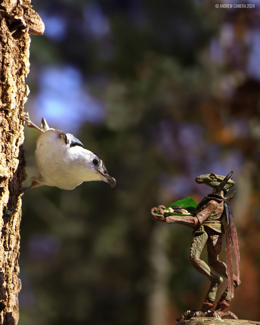 miniatures animals birds