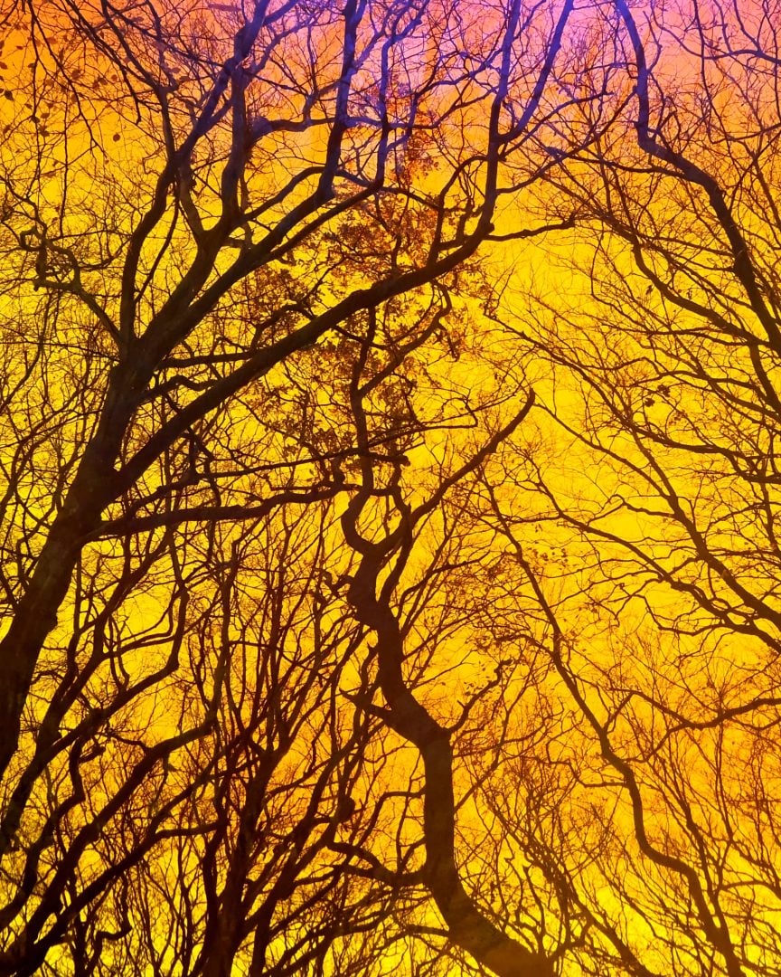 Dichroic Cube adapter