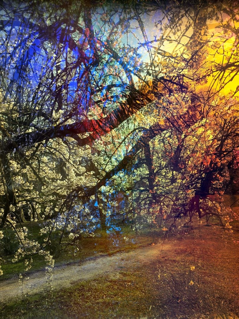 Dichroic Cube adapter