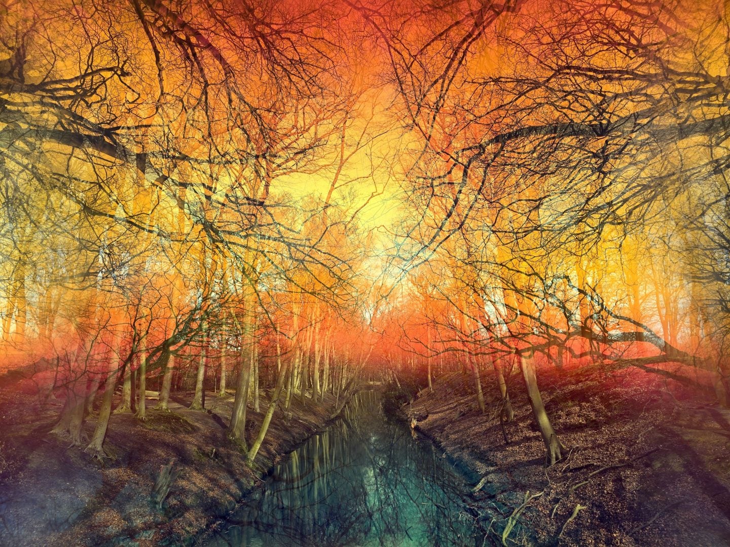 Dichroic Cube adapter