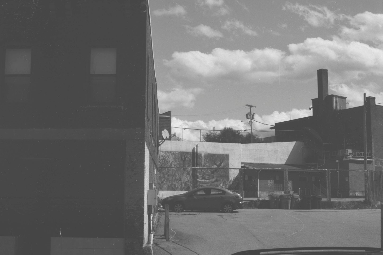 developing film beer