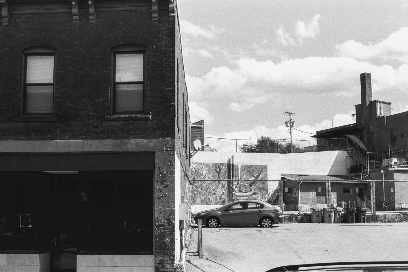 developing film beer