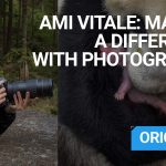 ami vitale interview