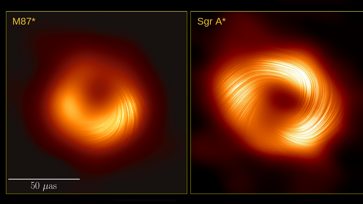 black hole magnetic field