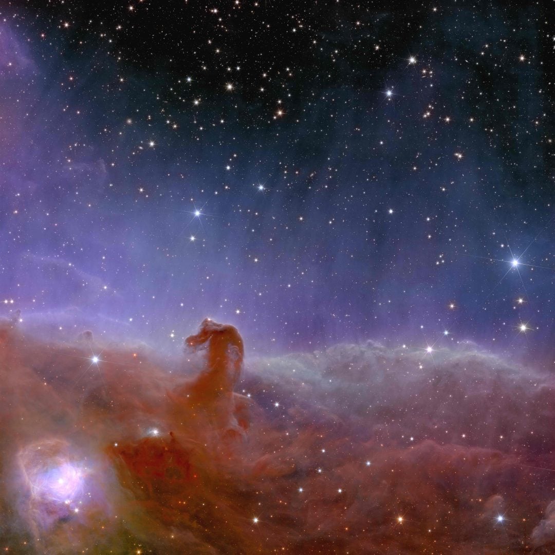 horsehead nebula euclid
