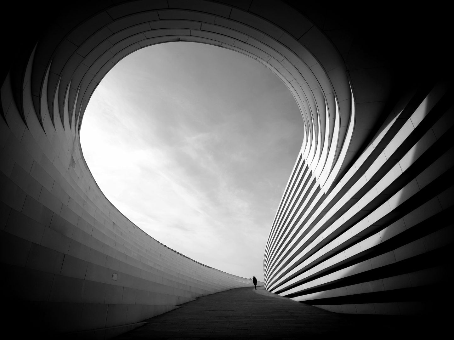 mobile photography awards 2024