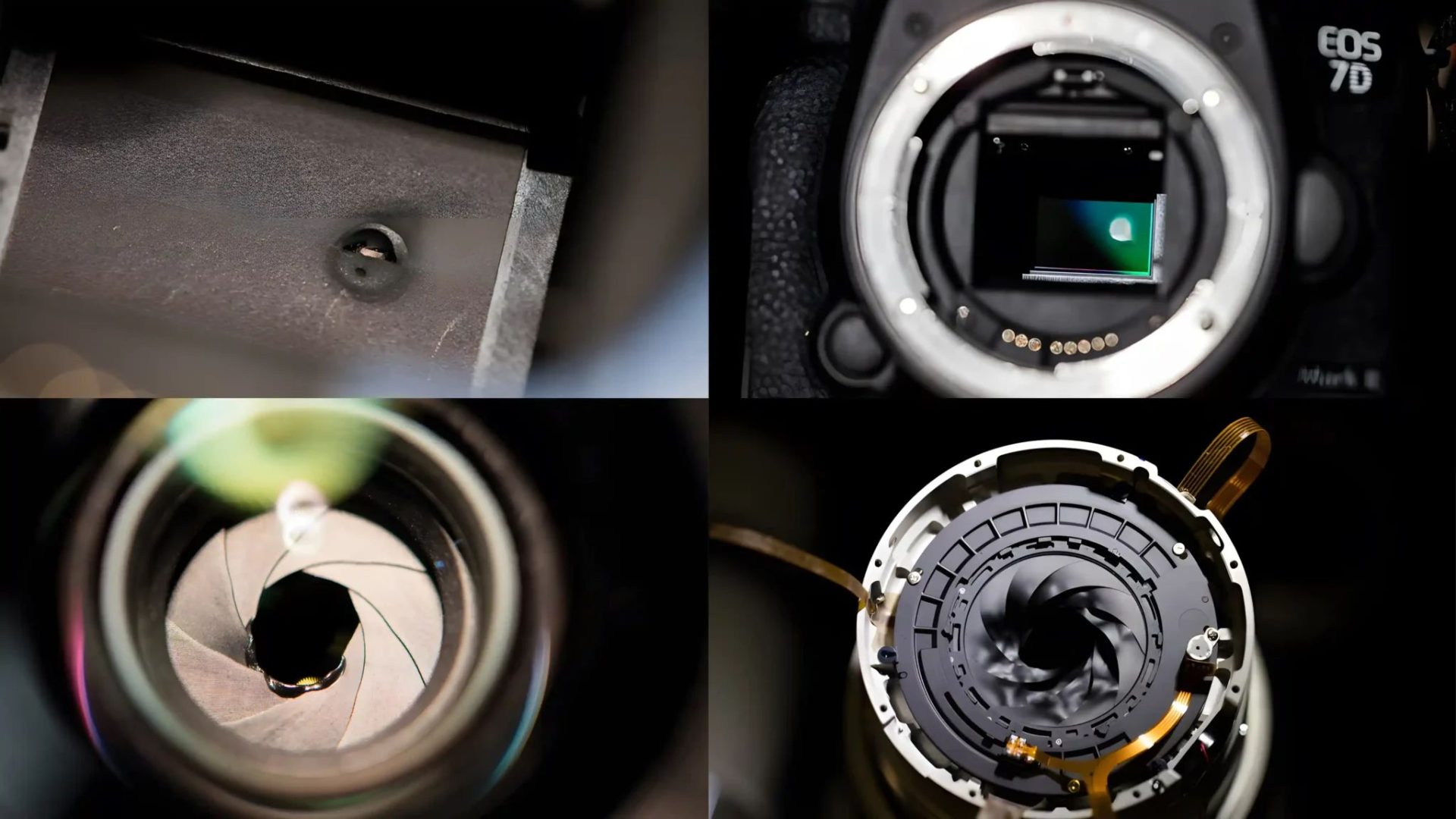 Damaged Cameras And Lenses From 2017 Solar Eclipse – Lens Rentals
