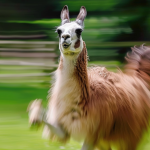llama 3