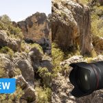 Canon RF 24-105mm f/2.8 review: a chunky monkey, but a great zoom lens