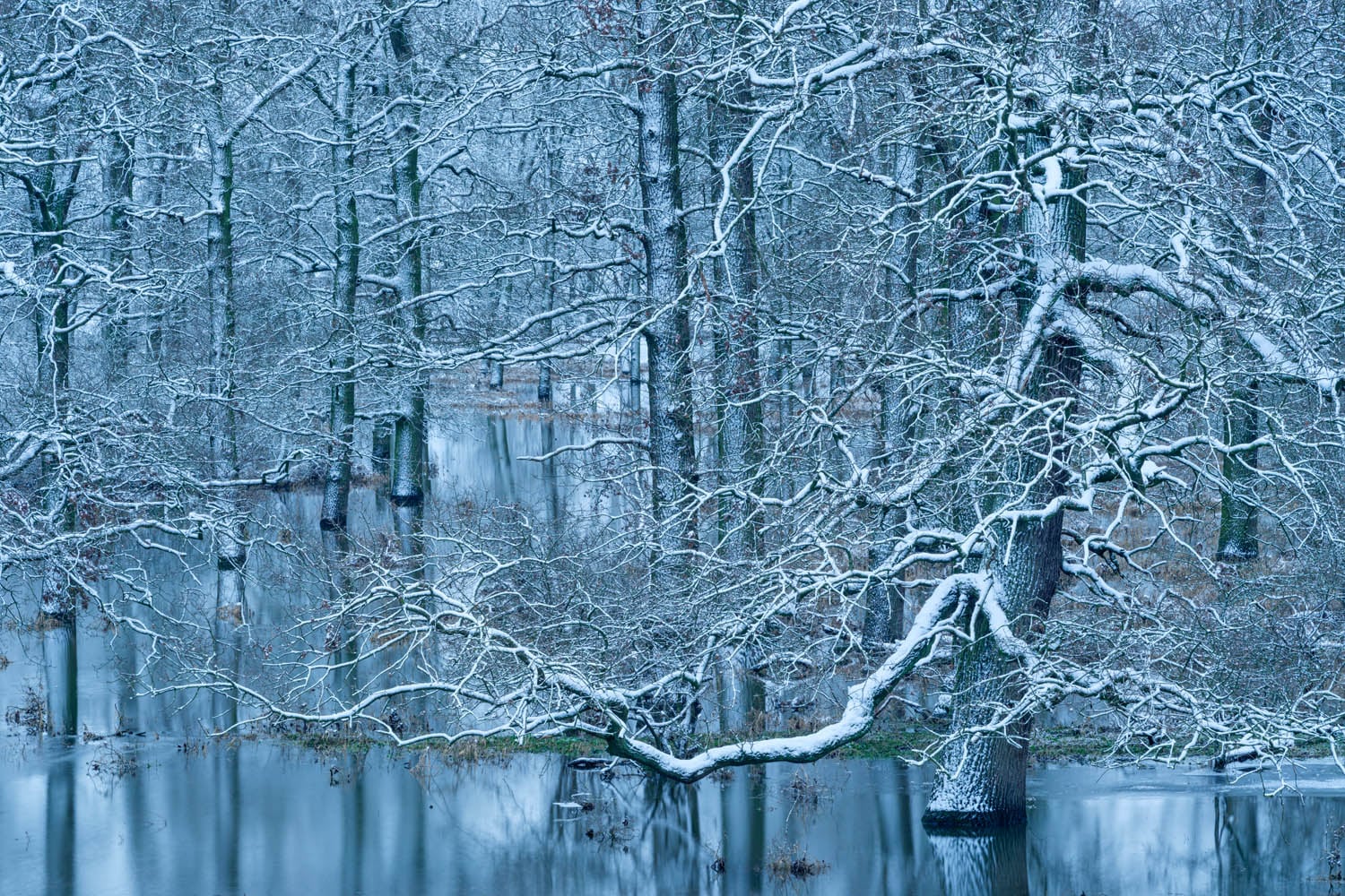 gdt nature photographer contest members