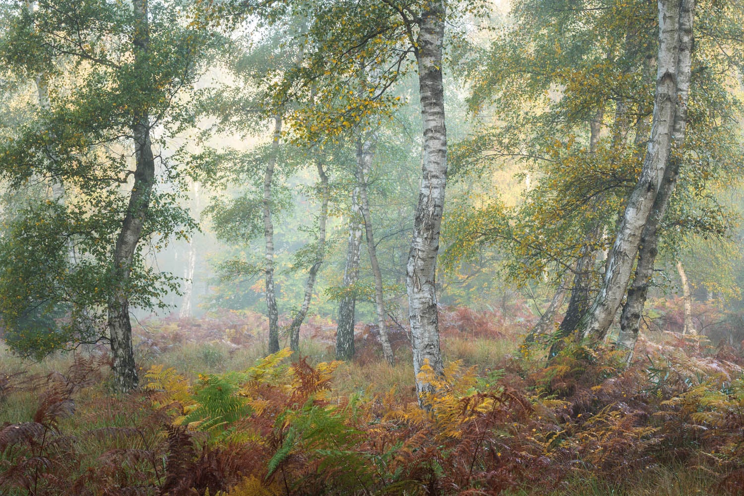 gdt nature photographer contest members