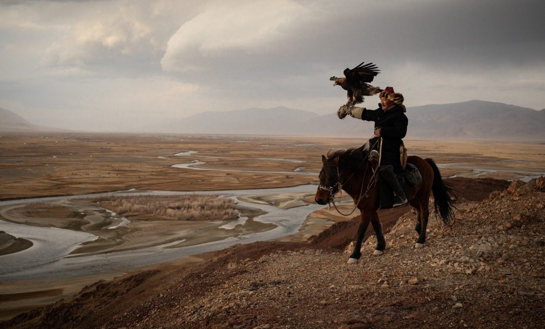 Nature photography, horse rider with a bird