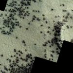spiders from mars