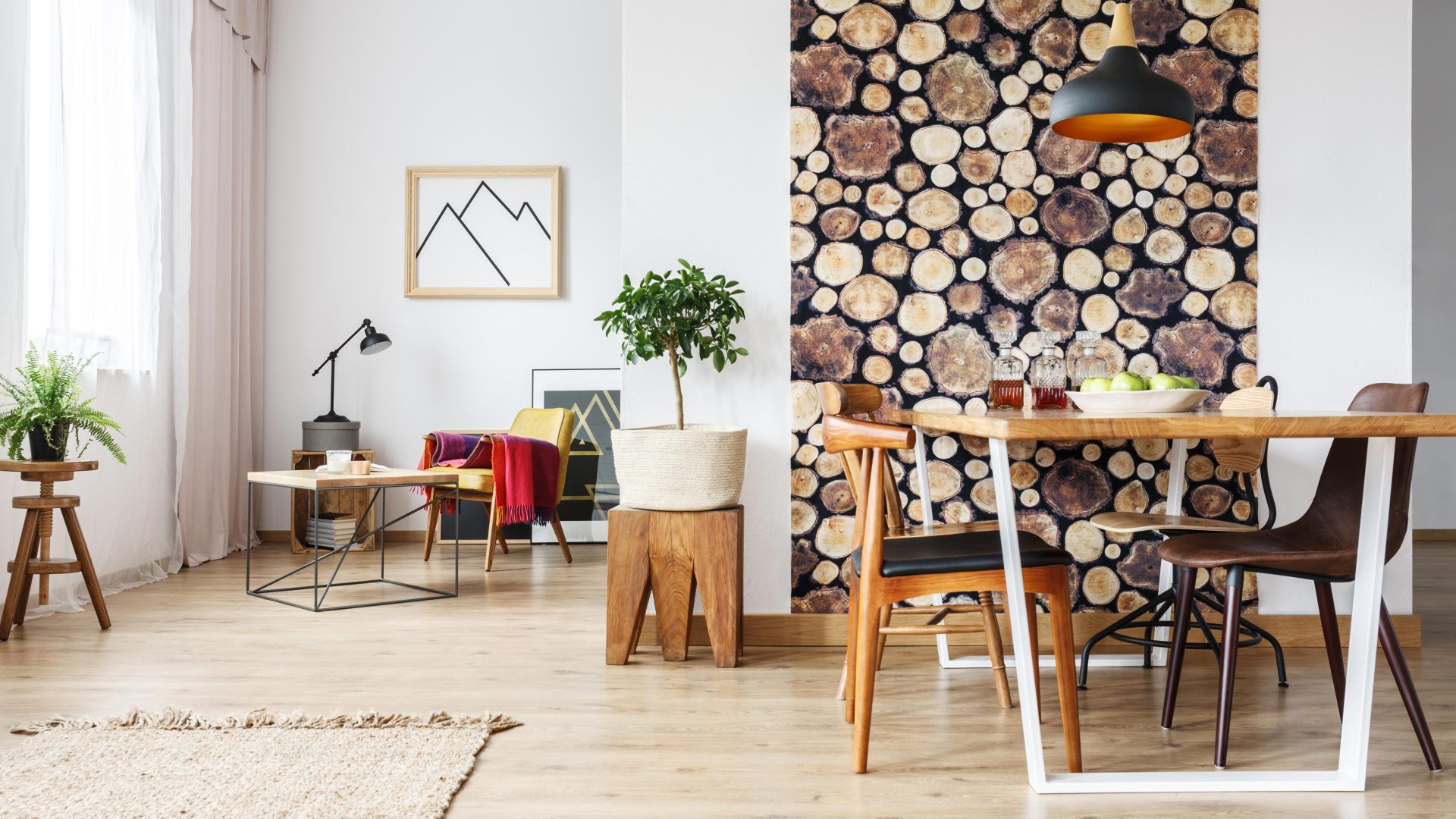 Photographer sues grandmother for posting his photo-wallpaper on a flat rental site