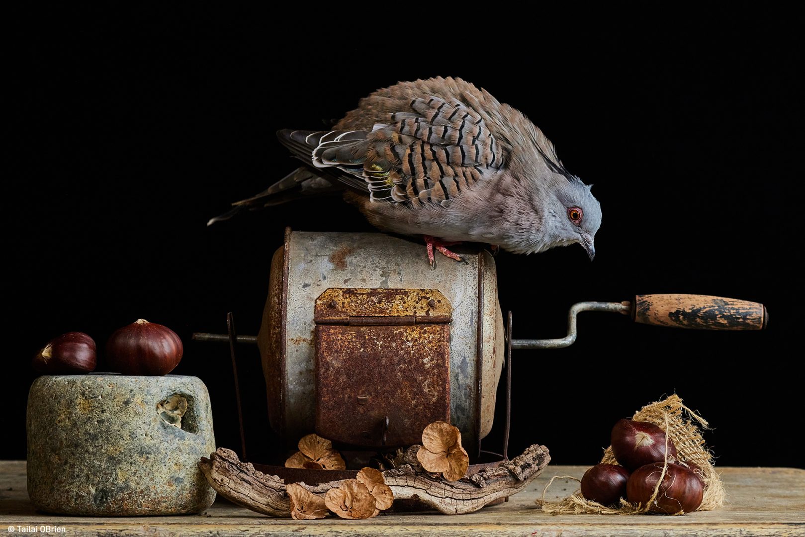 Pink Lady® Food Photographer of the Year 2024