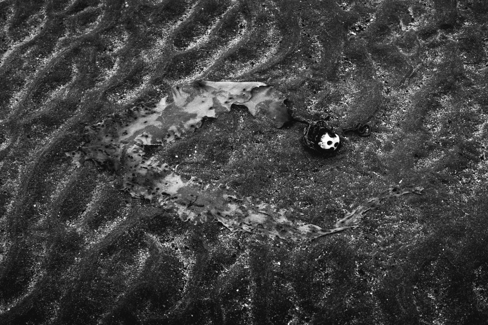 controversy of photography