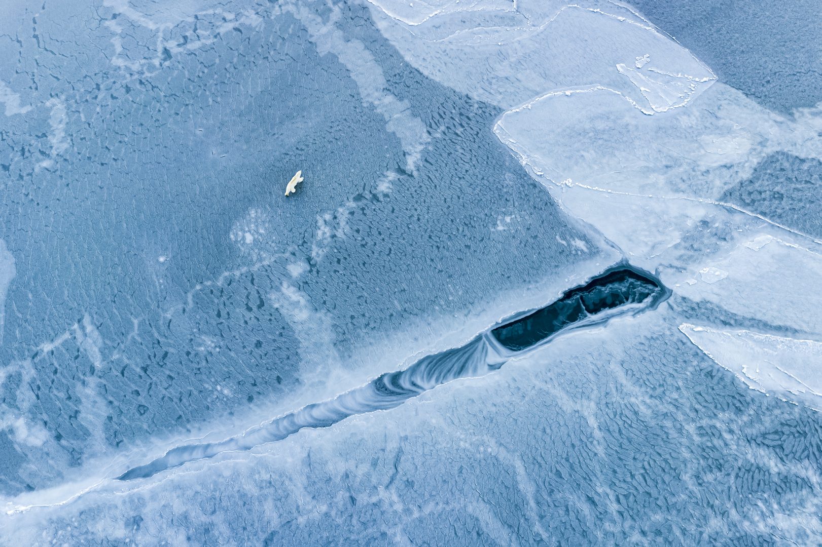 the 2024 Environmental Photography Award