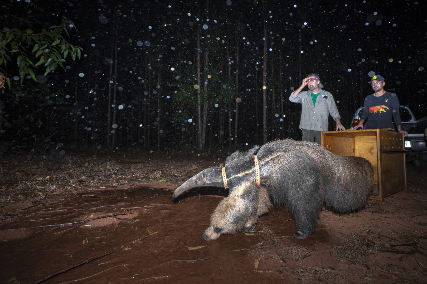 the 2024 Environmental Photography Award