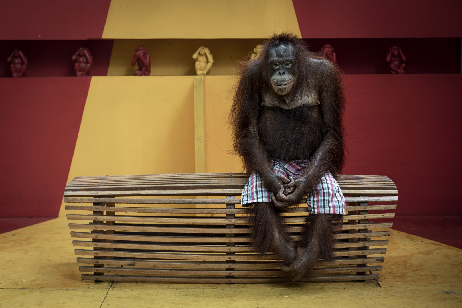 the 2024 Environmental Photography Award