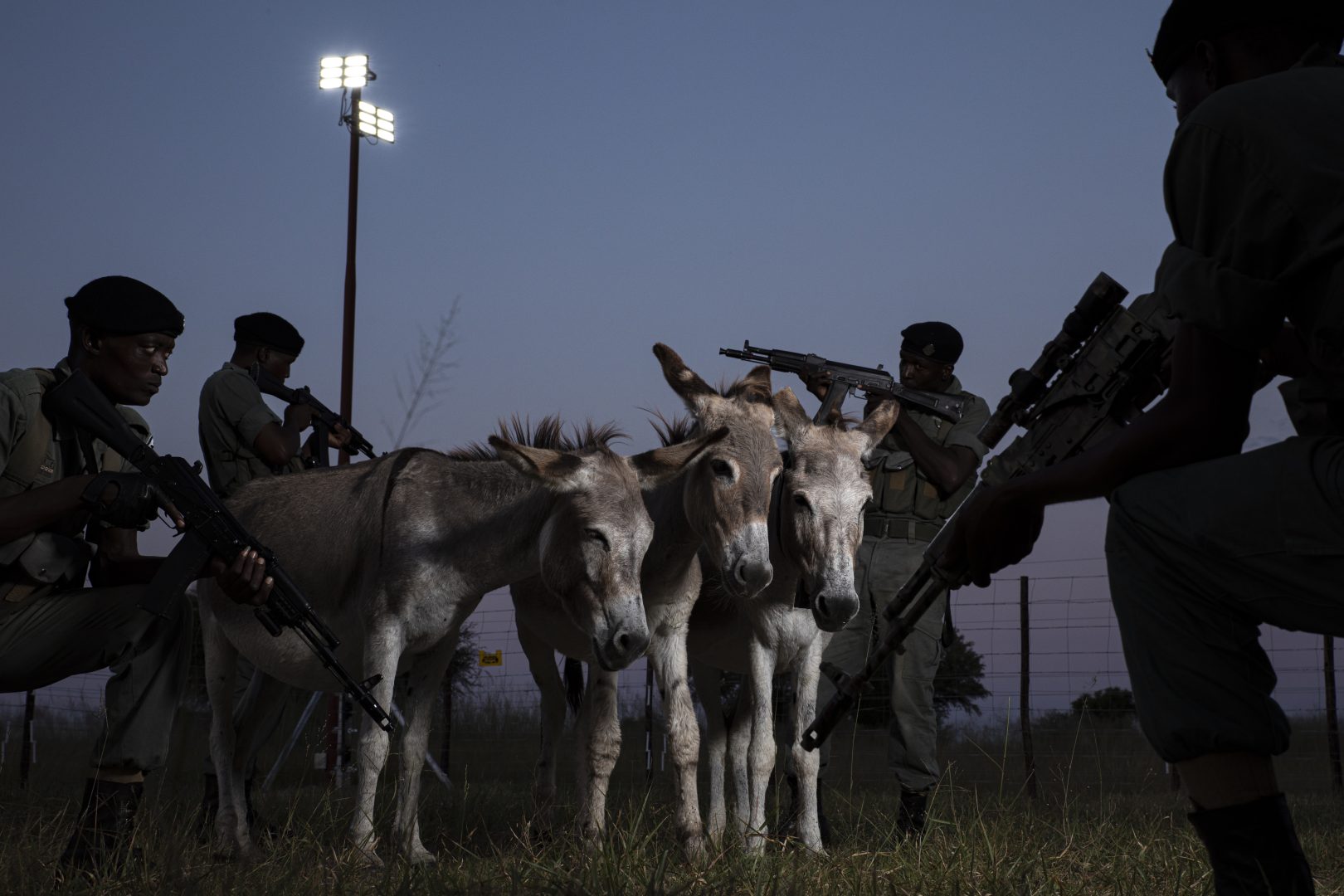 the 2024 Environmental Photography Award