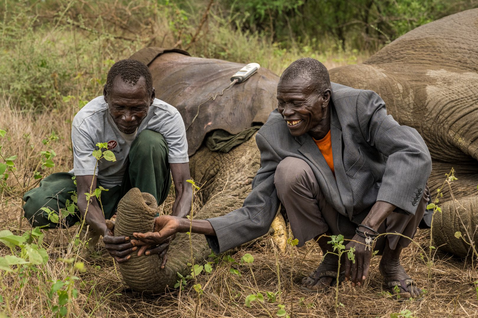 the 2024 Environmental Photography Award
