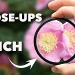 Capture stunning close-ups: Four macro photography methods for any budget