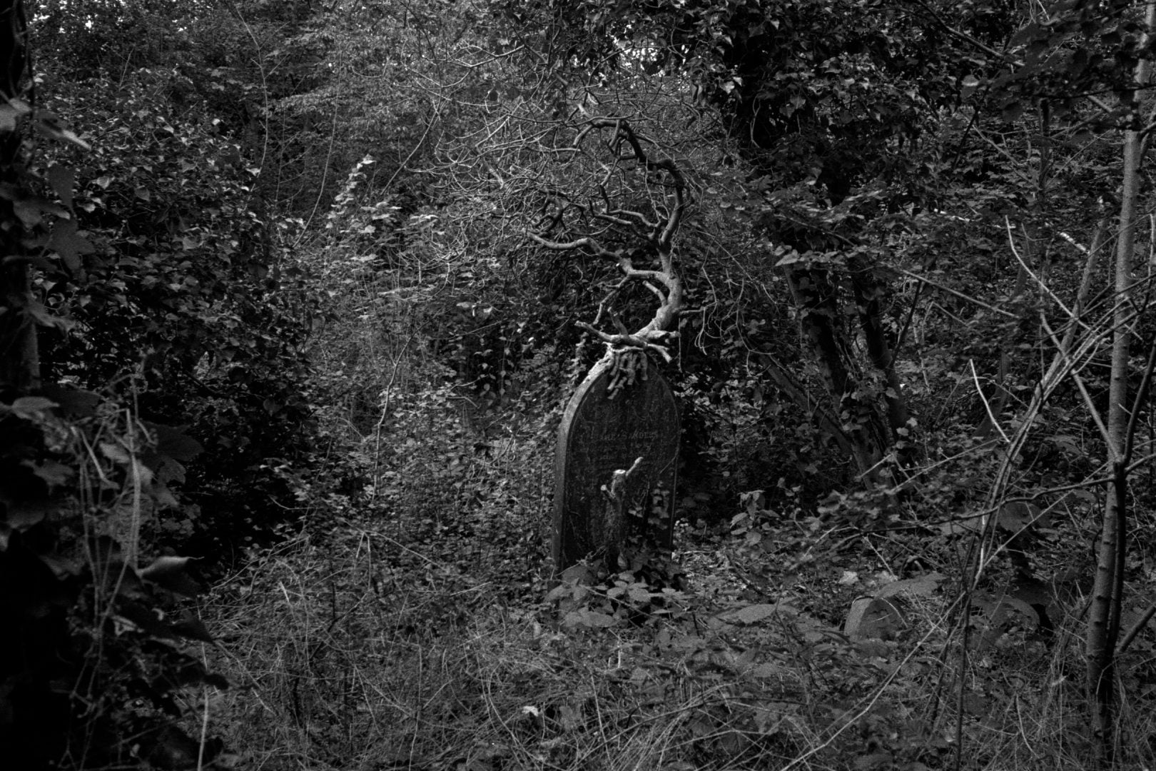 controversy of photography