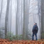 Man in the mysterious dark beech forest in fog. Autumn morning in the misty woods. Magical foggy atmosphere. Landscape photography