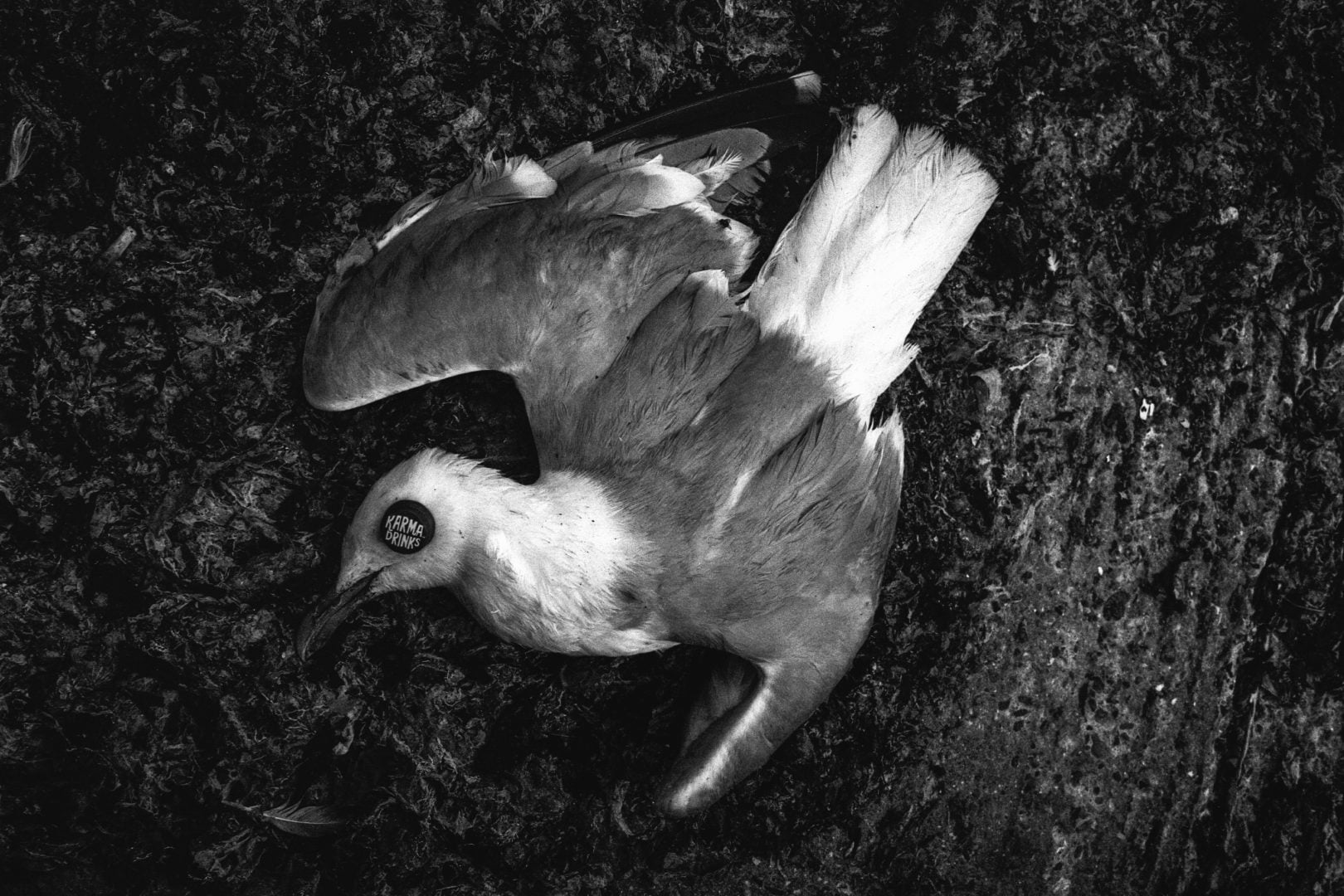 controversy of photography