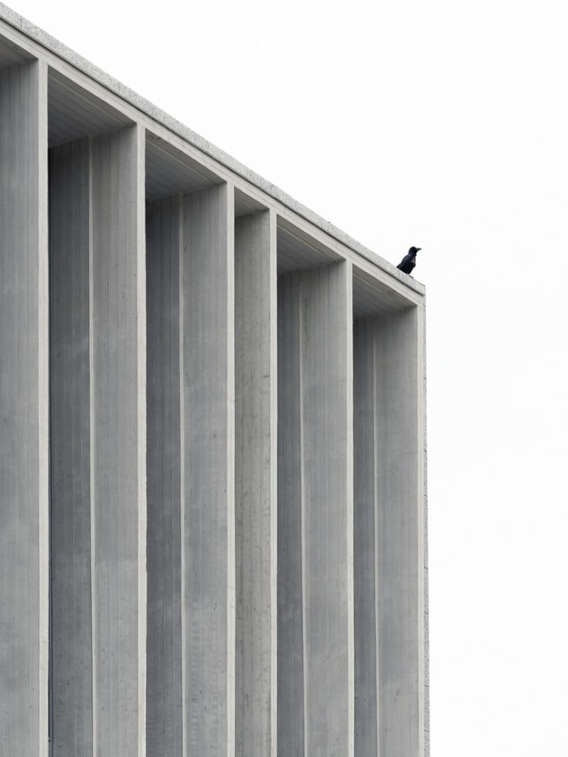 Thibaud Poirier raven
