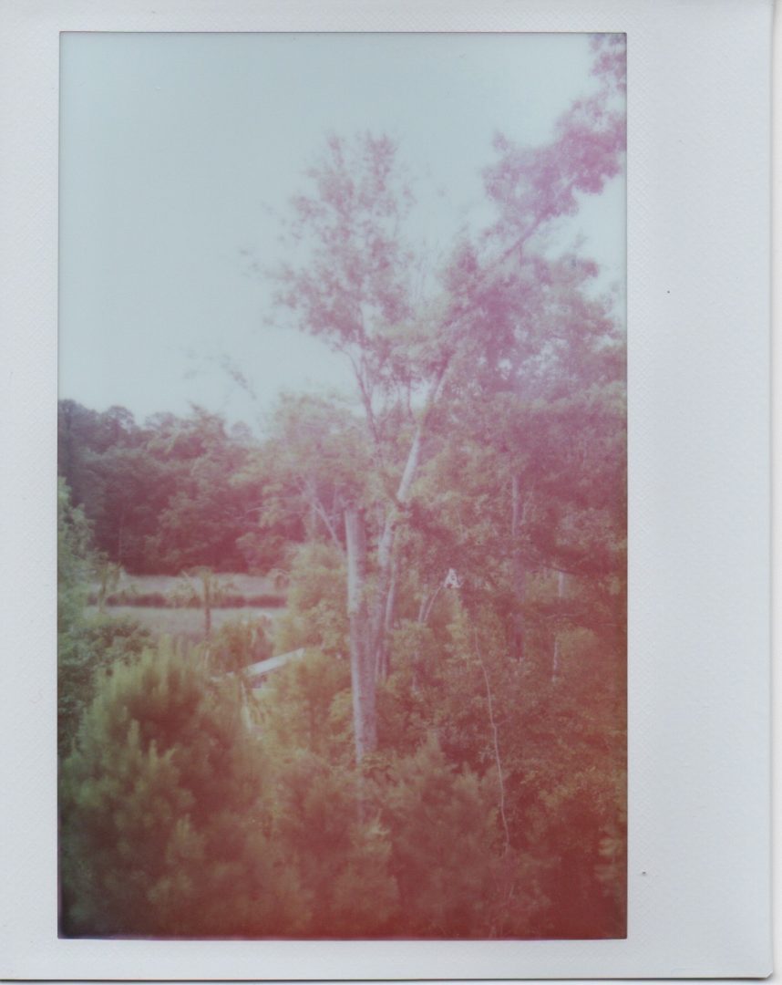 Figure 7. Expect a slight color shift with the non-multi-coated lens.