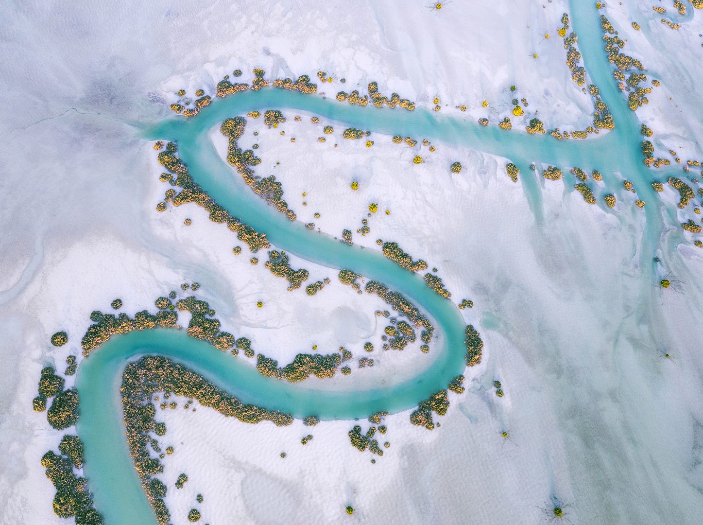 Emotive image of young climate refugee wins 2024 Mangrove Photography Award
