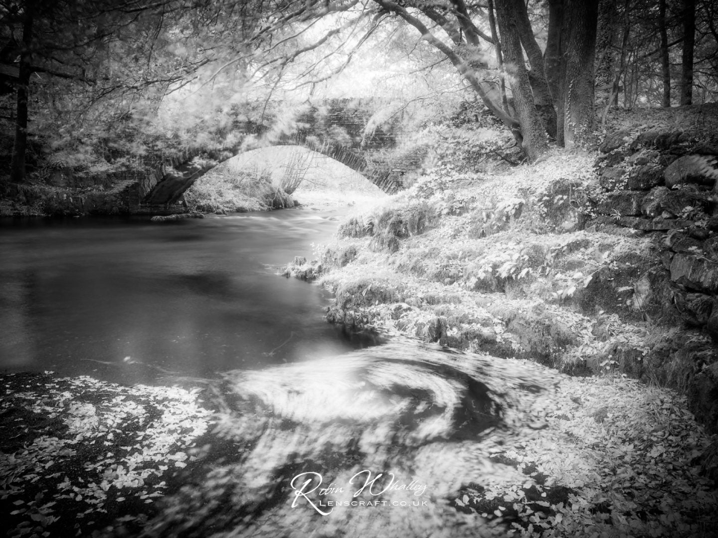 infrared landscape