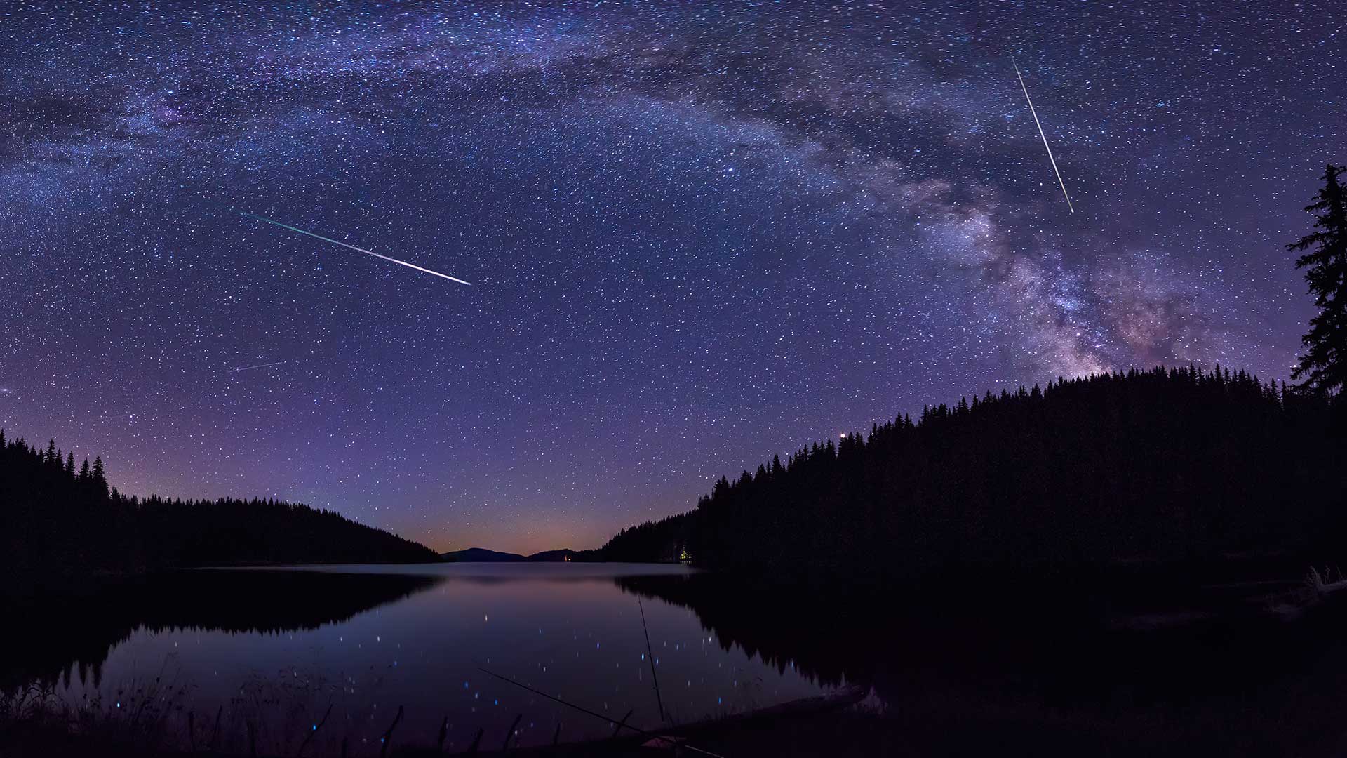 Perseid Meteor Shower