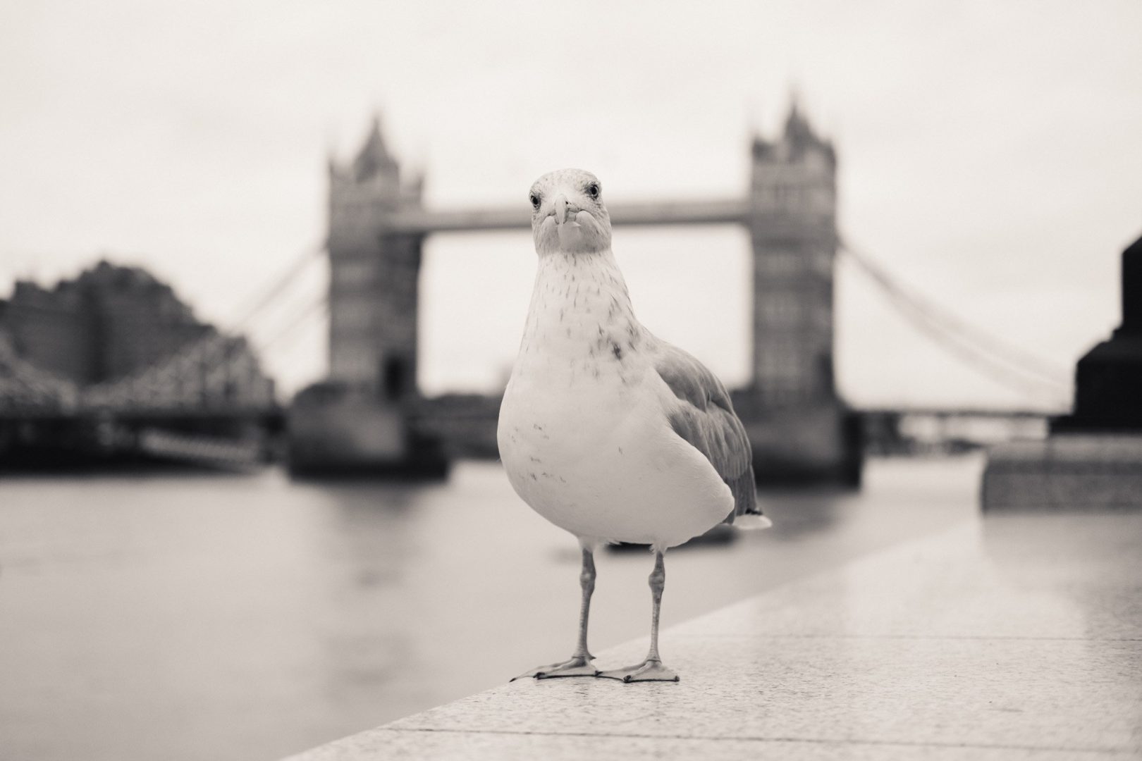 Why street photography is perfect for beginners