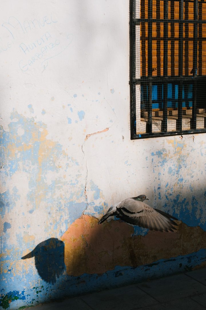 Why street photography is perfect for beginners