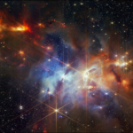 star nursery webb