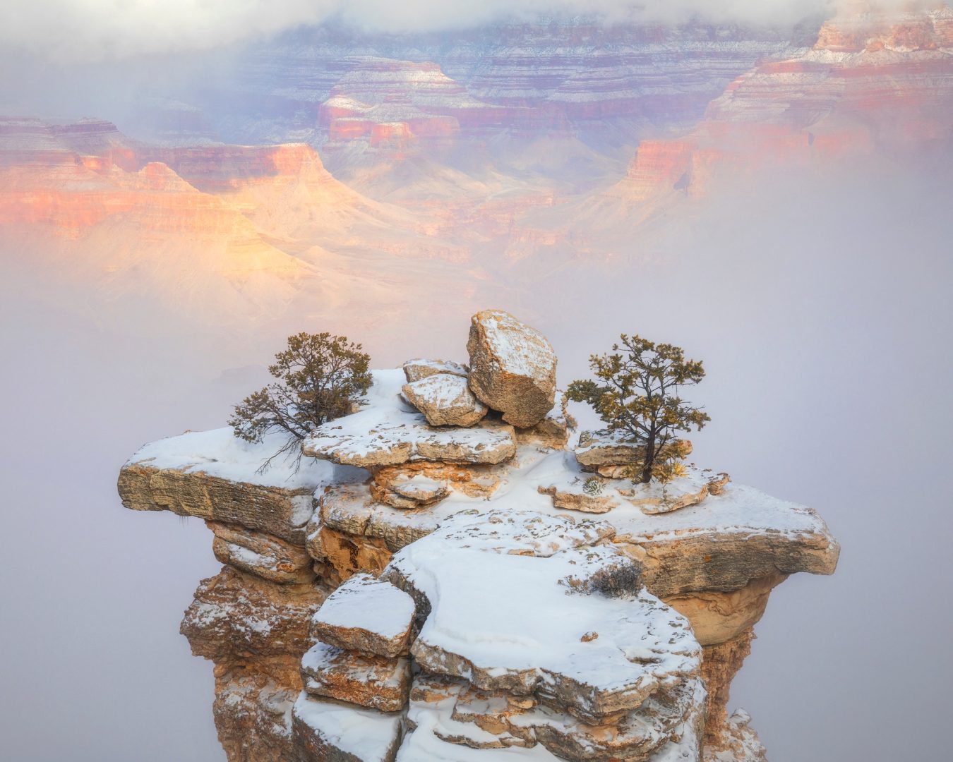 Natural Landscape Awards 2024