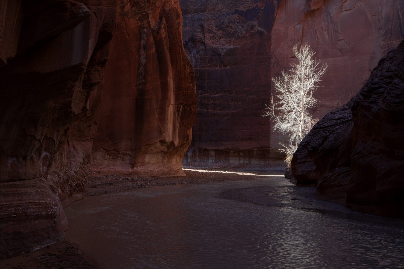 Natural Landscape Awards 2024