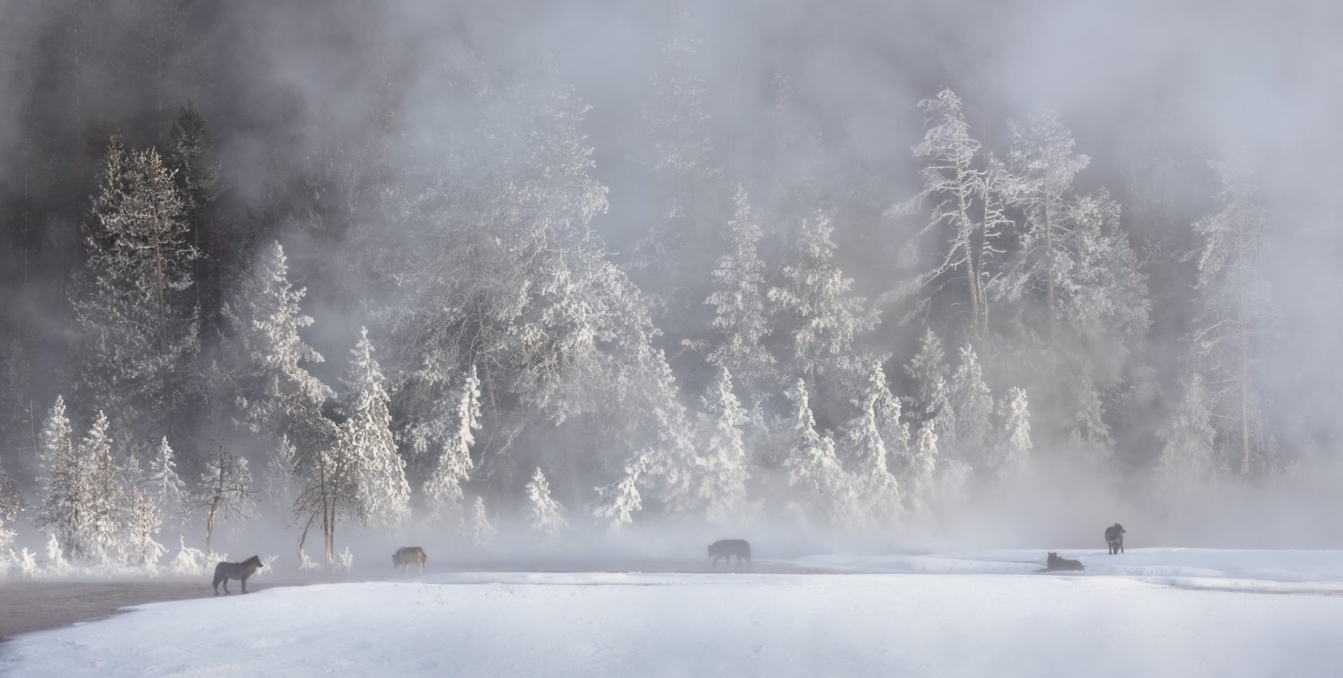 Natural Landscape Awards 2024