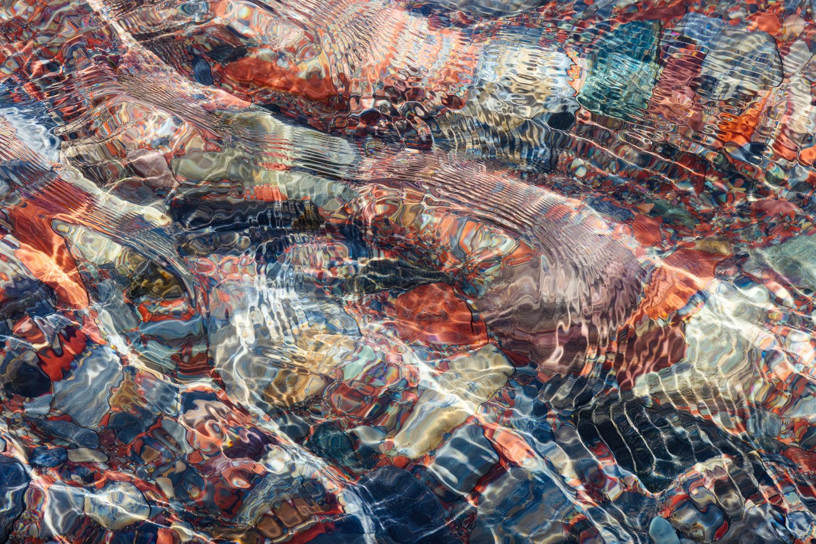 Mesmerizing forest abstracts win Natural Landscape Awards 2024