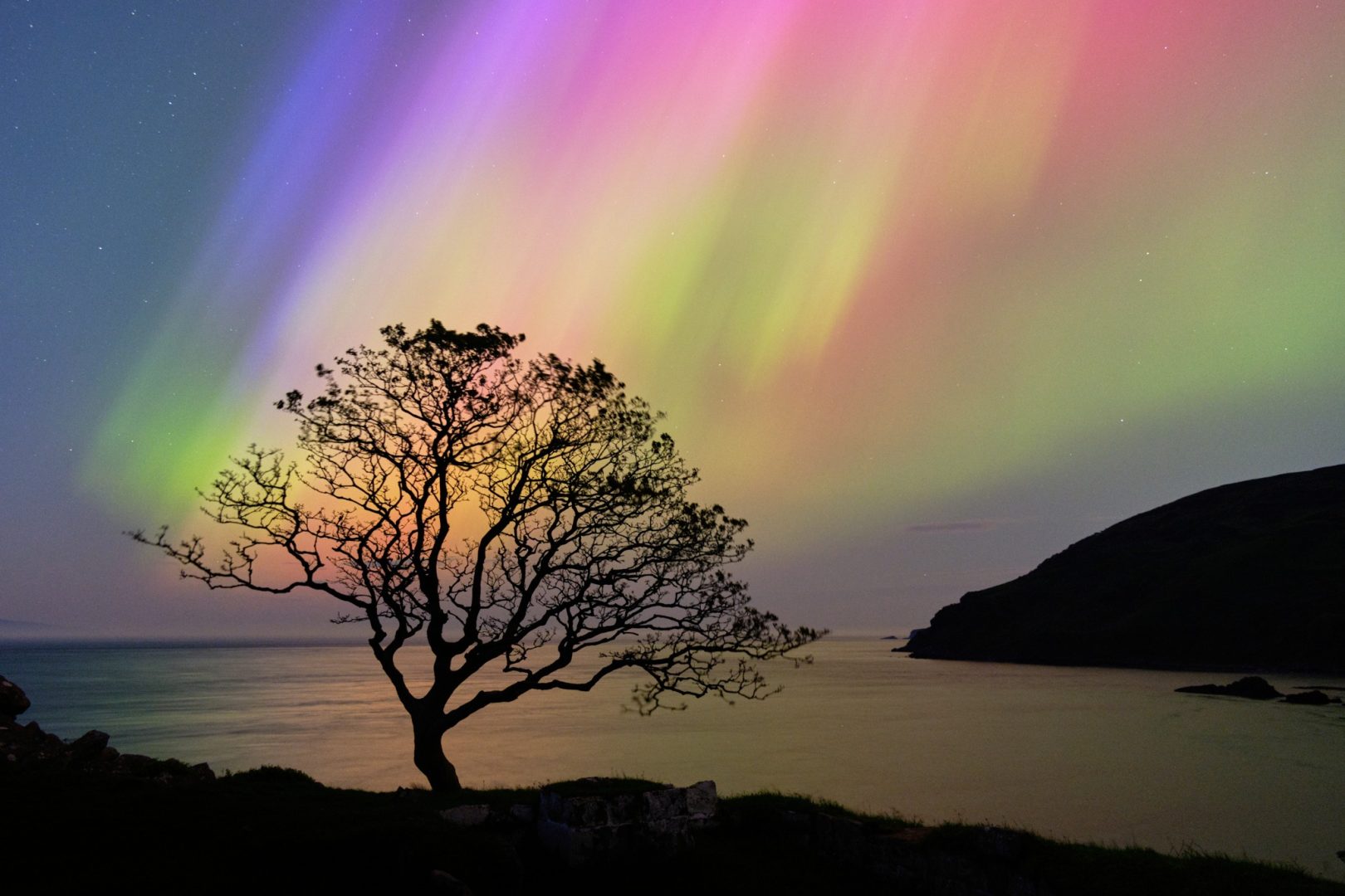 Natural Landscape Awards 2024